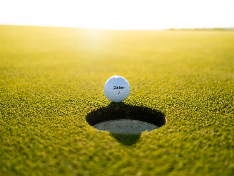Florida golf course with palms and open green space